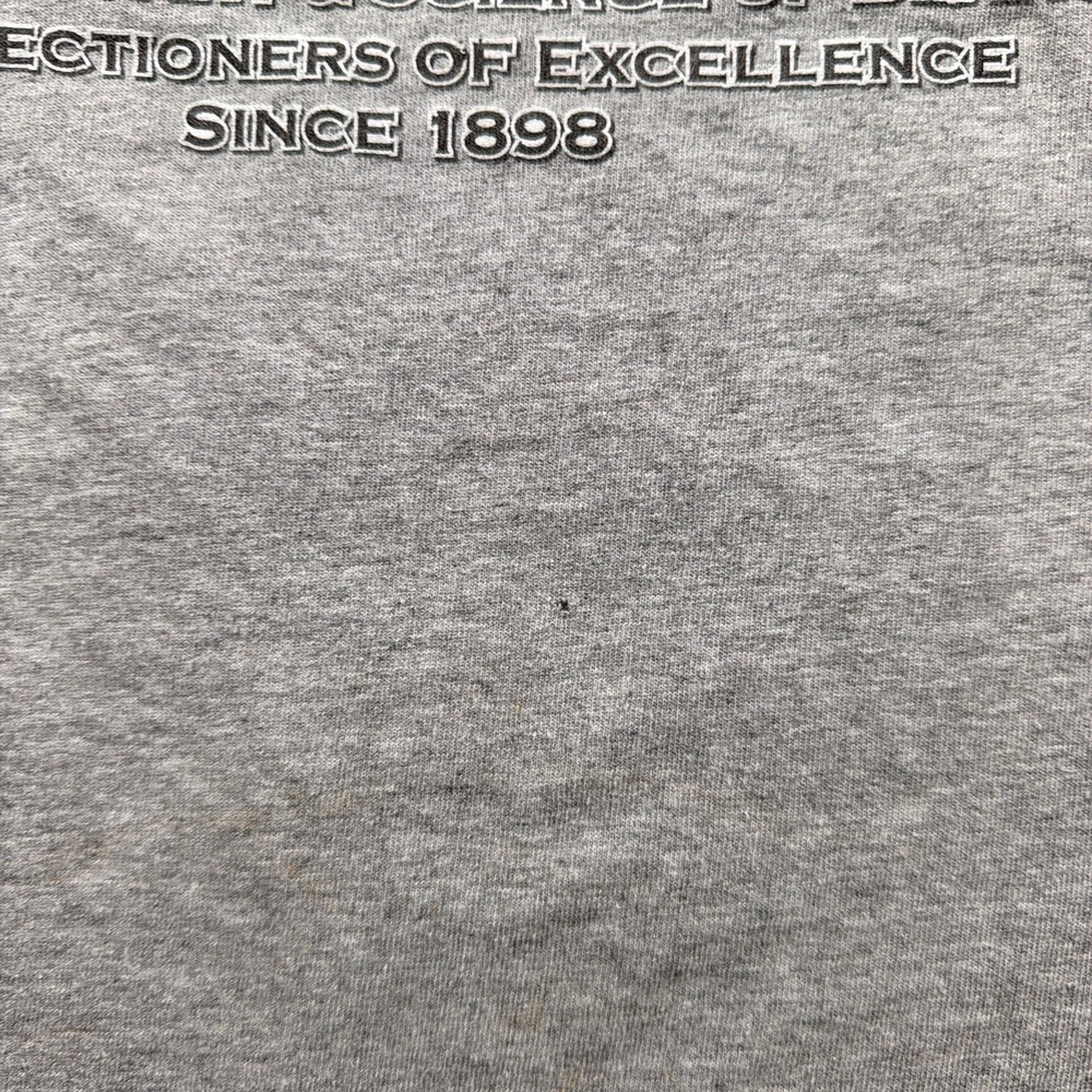 Vintage Jelly Belly University Shirt Men L Fruit of the Loom Grey Wisconsin - Picture 3 of 12